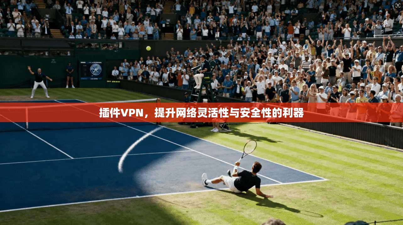 插件VPN，提升网络灵活性与安全性的利器