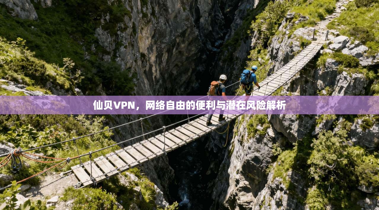 仙贝VPN，网络自由的便利与潜在风险解析