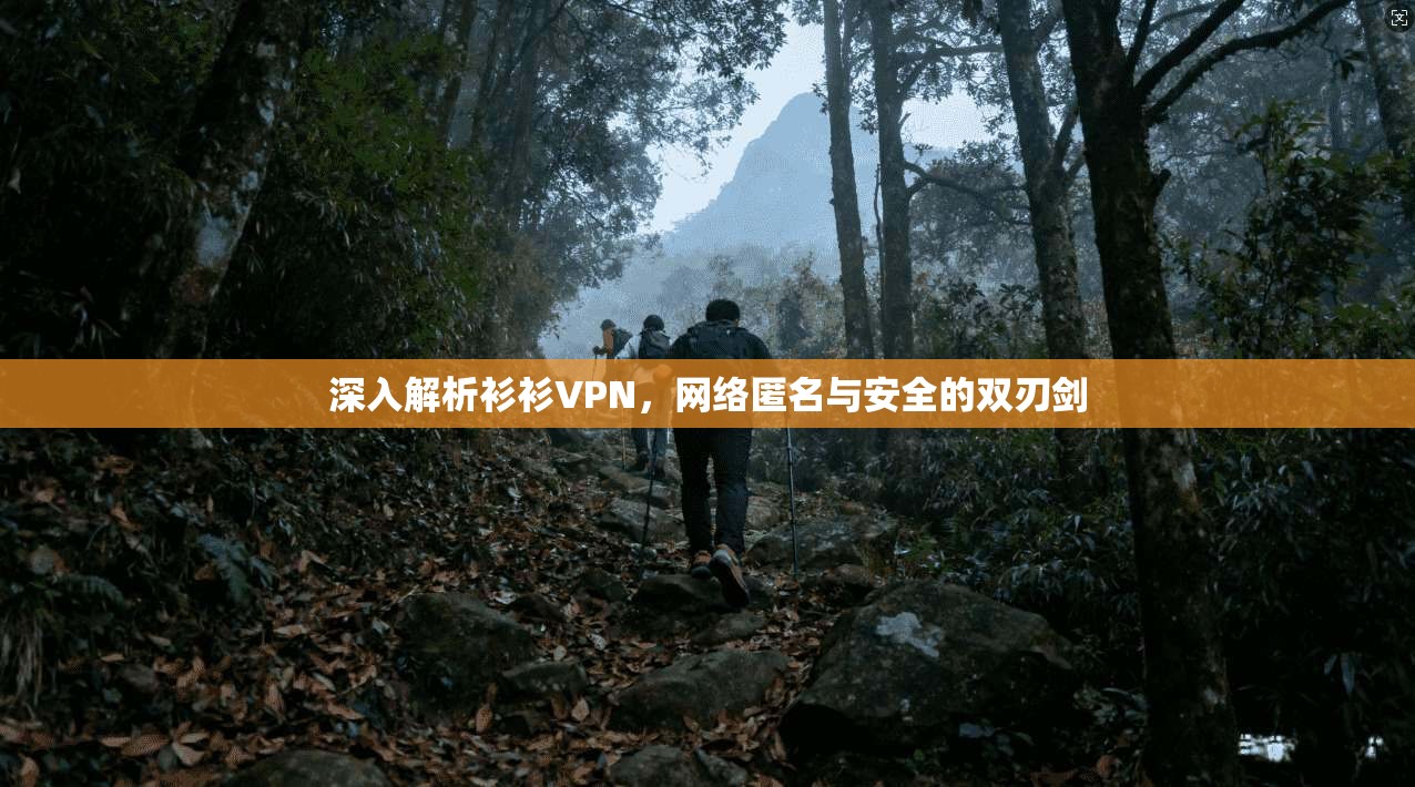 深入解析衫衫VPN，网络匿名与安全的双刃剑