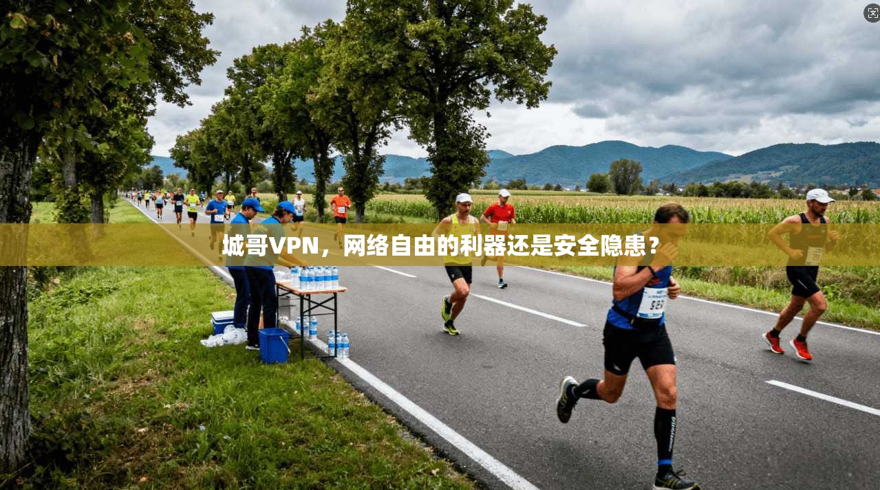 城哥VPN，网络自由的利器还是安全隐患？