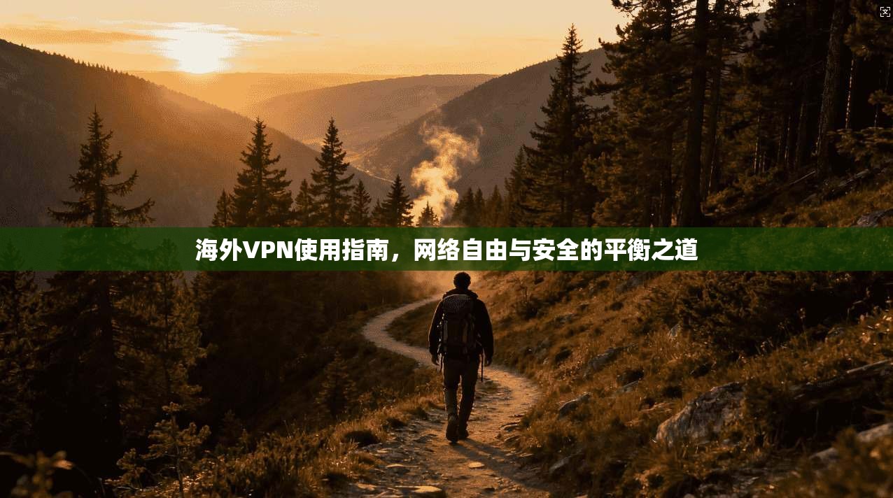 海外VPN使用指南，网络自由与安全的平衡之道