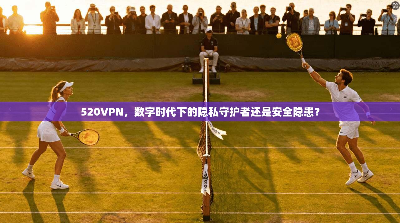 520VPN，数字时代下的隐私守护者还是安全隐患？