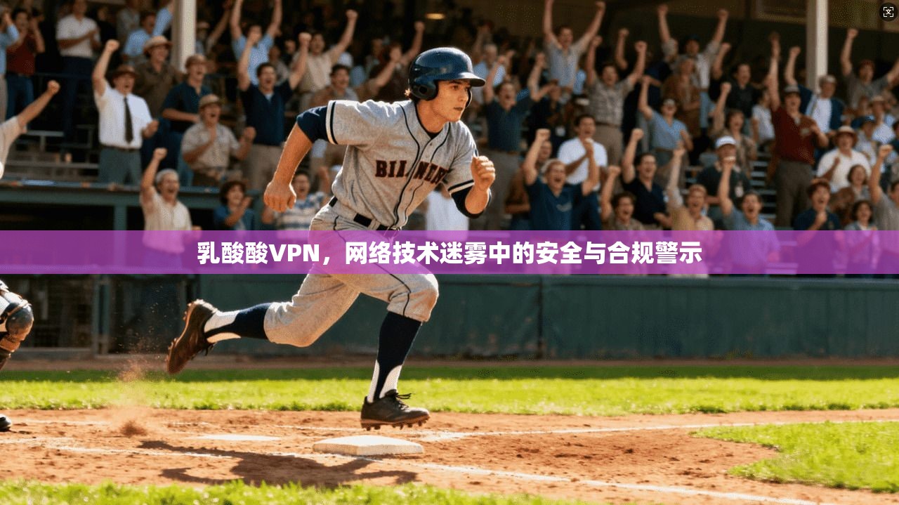 乳酸酸VPN,网络技术迷雾中的安全与合规警示