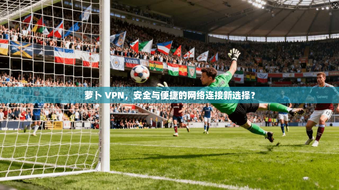 萝卜 VPN，安全与便捷的网络连接新选择？