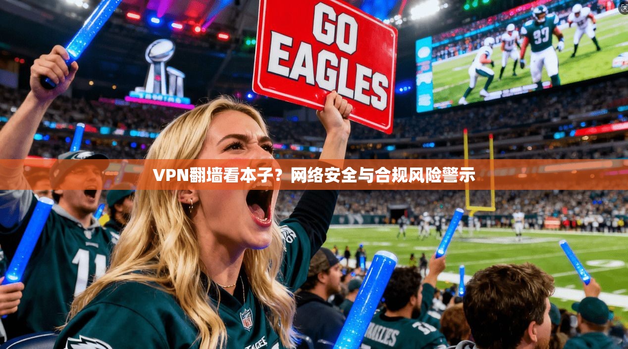 VPN翻墙看本子？网络安全与合规风险警示