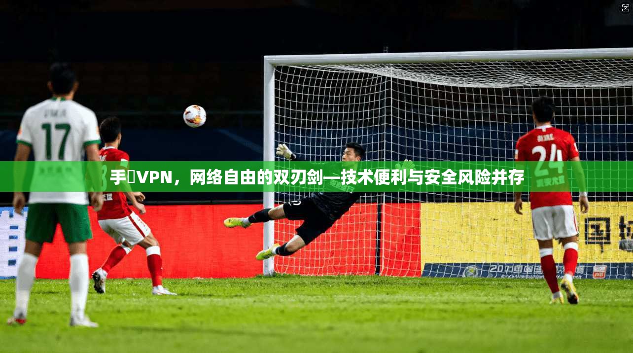 手檆VPN,网络自由的双刃剑—技术便利与安全风险并存