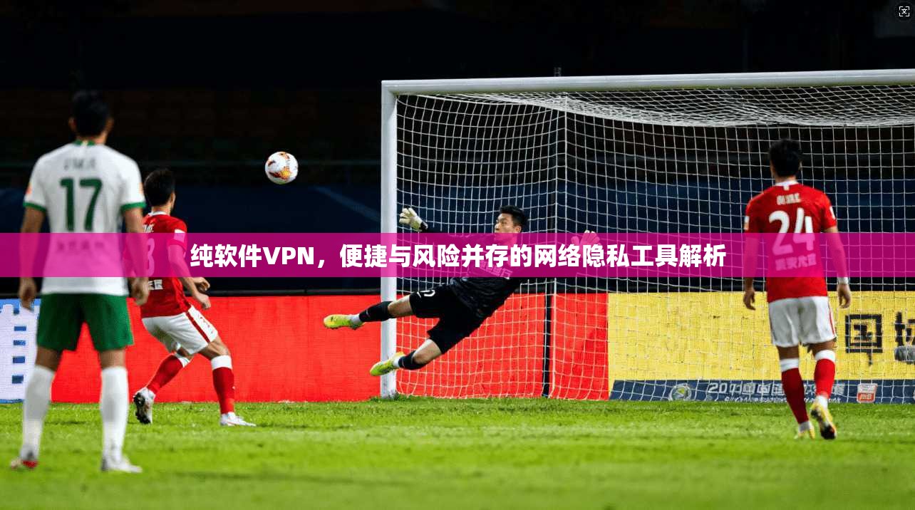 纯软件VPN，便捷与风险并存的网络隐私工具解析