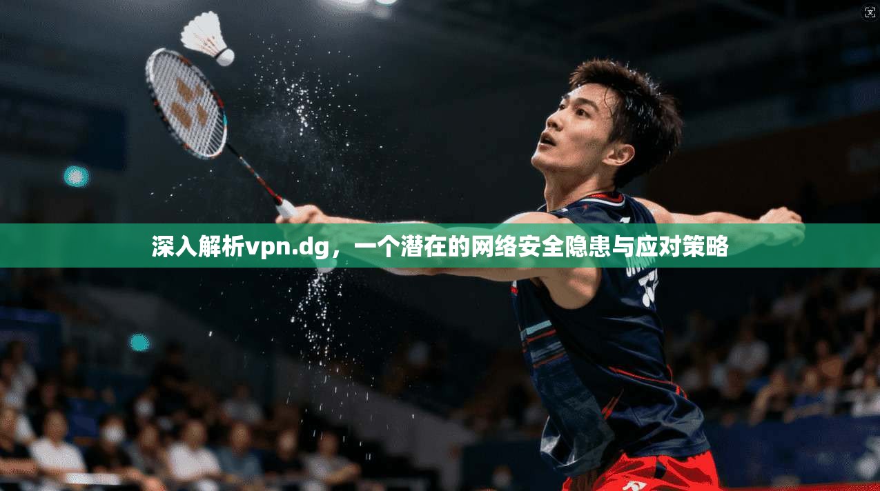深入解析vpn.dg，一个潜在的网络安全隐患与应对策略