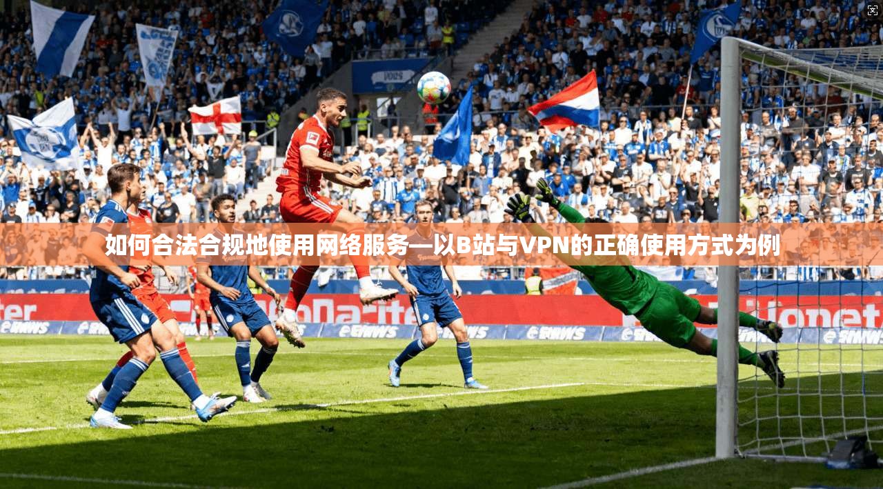 如何合法合规地使用网络服务—以B站与VPN的正确使用方式为例