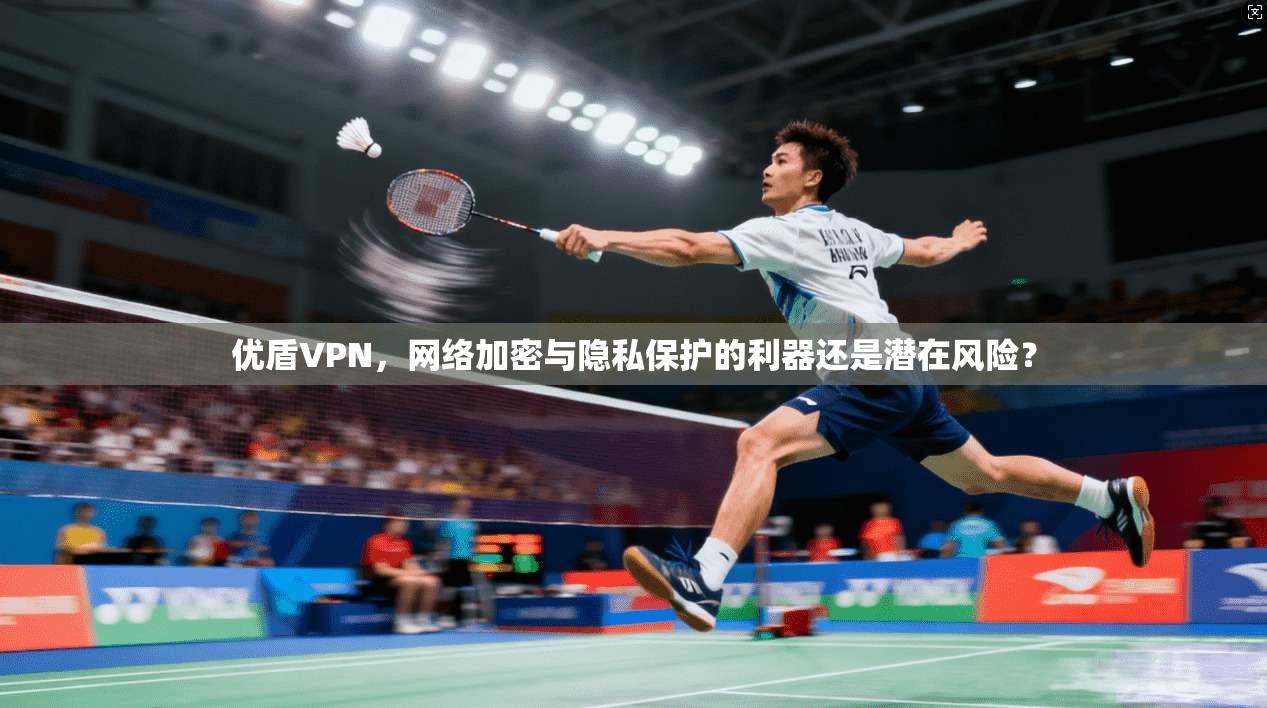 优盾VPN，网络加密与隐私保护的利器还是潜在风险？