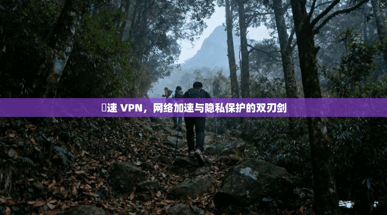 機速 VPN，网络加速与隐私保护的双刃剑