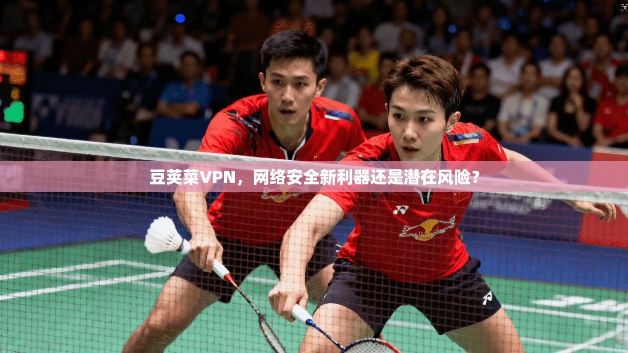 豆荚菜VPN，网络安全新利器还是潜在风险？