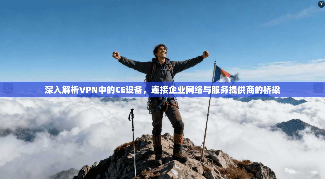 深入解析VPN中的CE设备,连接企业网络与服务提供商的桥梁