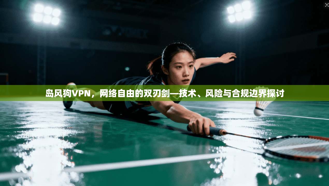 岛风狗VPN,网络自由的双刃剑—技术、风险与合规边界探讨