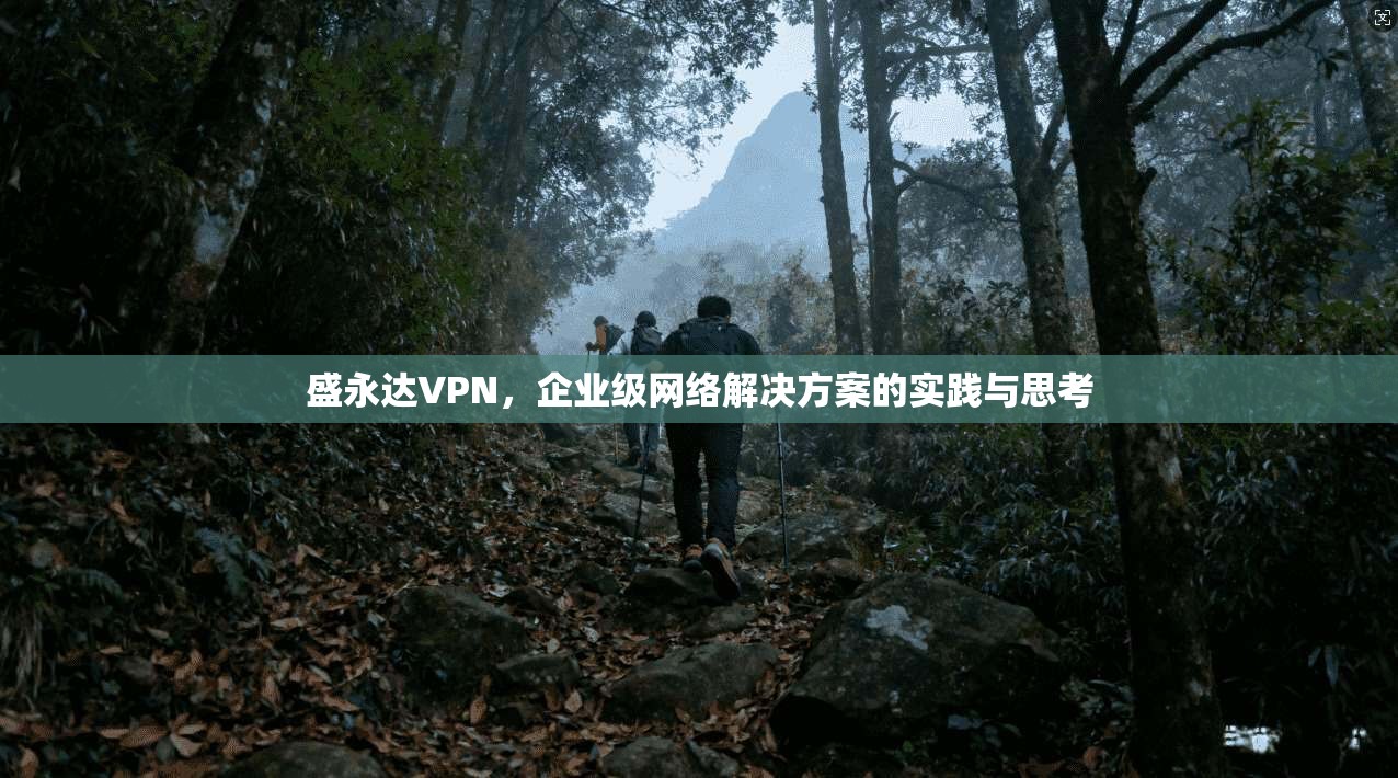 盛永达VPN，企业级网络解决方案的实践与思考