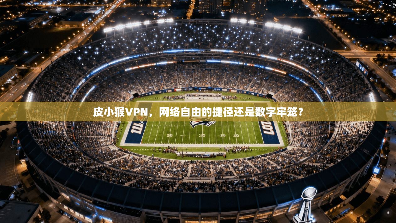 皮小猴VPN，网络自由的捷径还是数字牢笼？