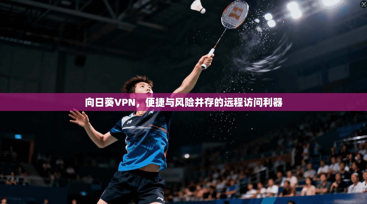 向日葵VPN,便捷与风险并存的远程访问利器