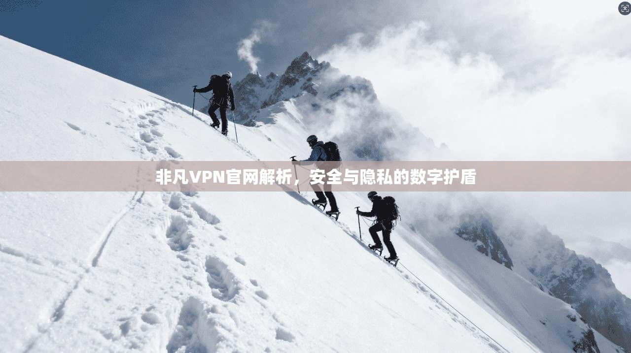 非凡VPN官网解析，安全与隐私的数字护盾