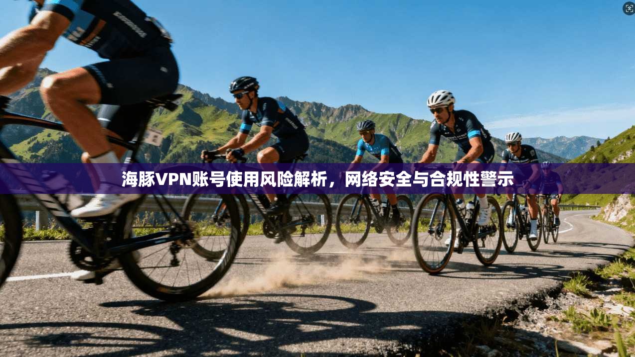 海豚VPN账号使用风险解析,网络安全与合规性警示