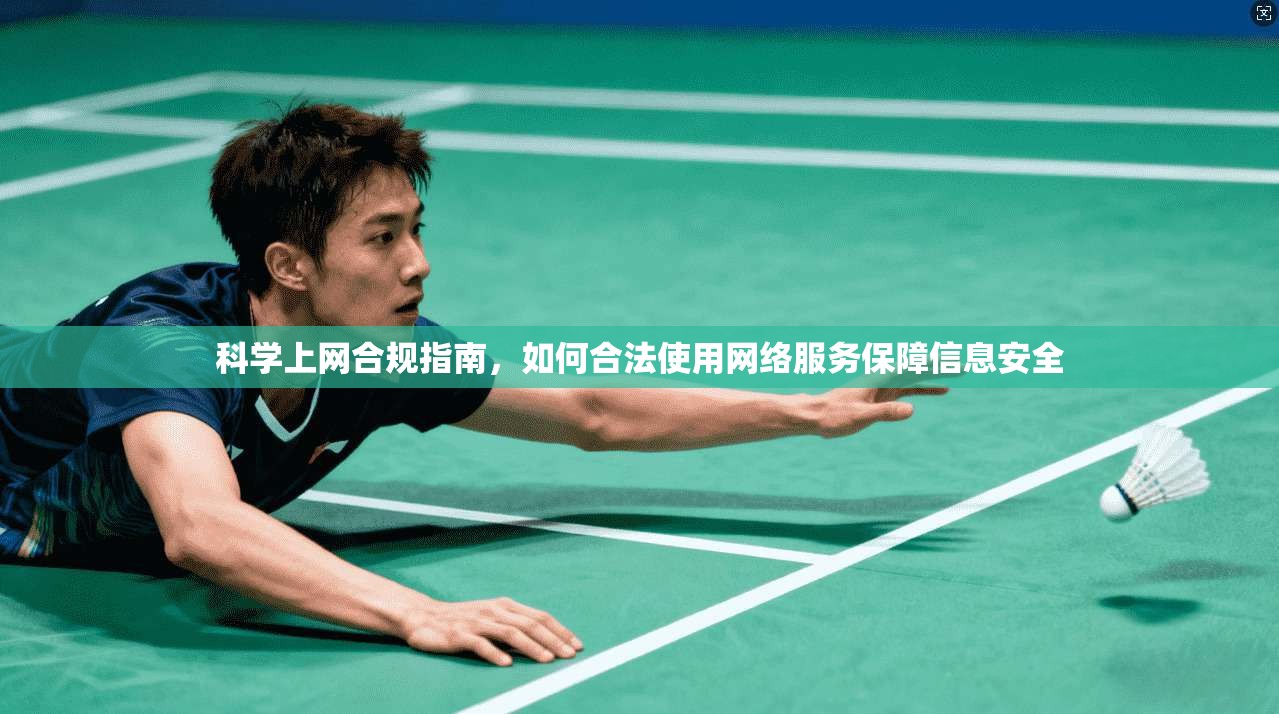 科学上网合规指南，如何合法使用网络服务保障信息安全