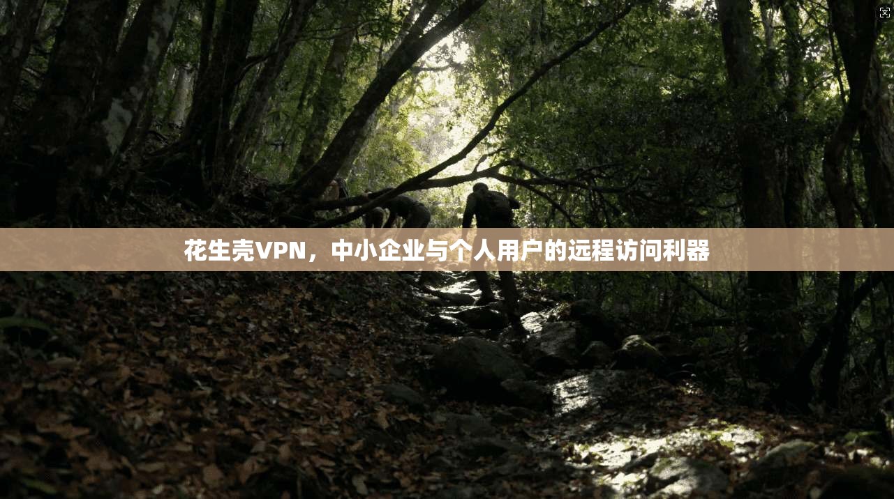 花生壳VPN,中小企业与个人用户的远程访问利器