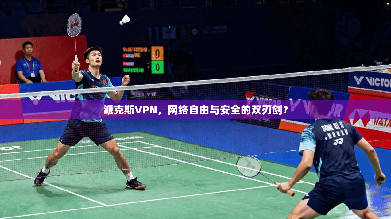 派克斯VPN，网络自由与安全的双刃剑？
