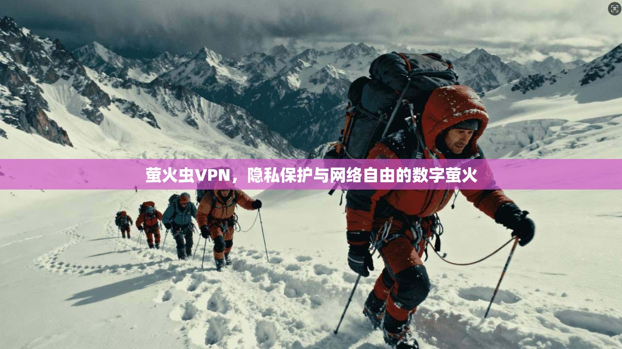 萤火虫VPN，隐私保护与网络自由的数字萤火
