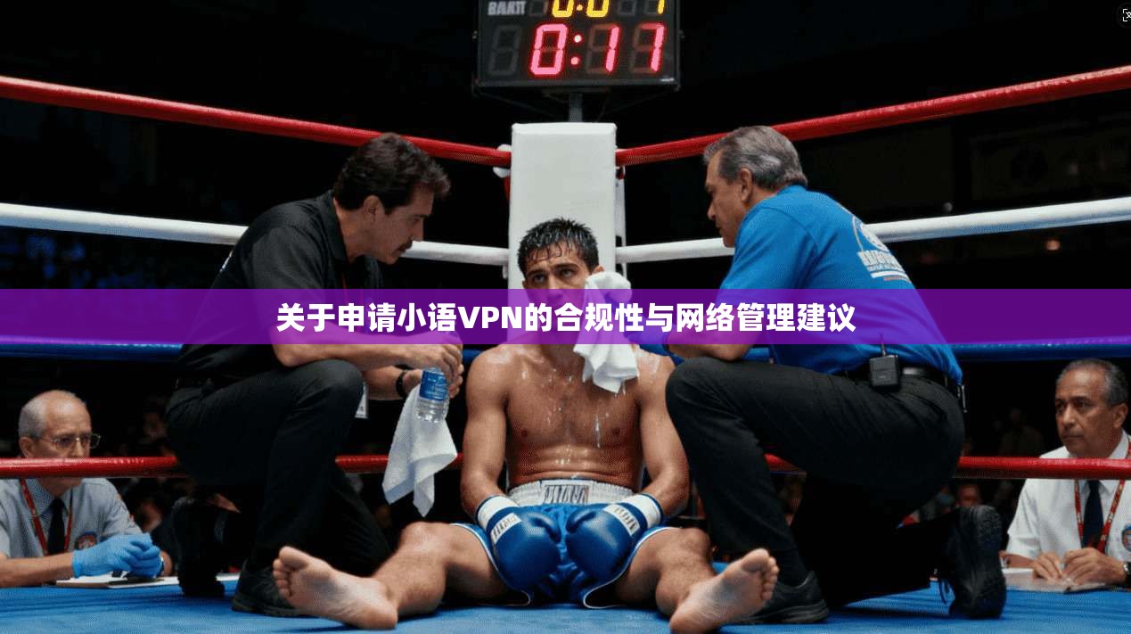 关于申请小语VPN的合规性与网络管理建议