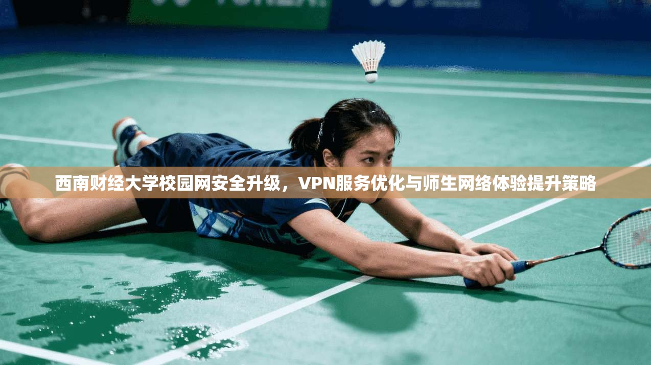 西南财经大学校园网安全升级，VPN服务优化与师生网络体验提升策略