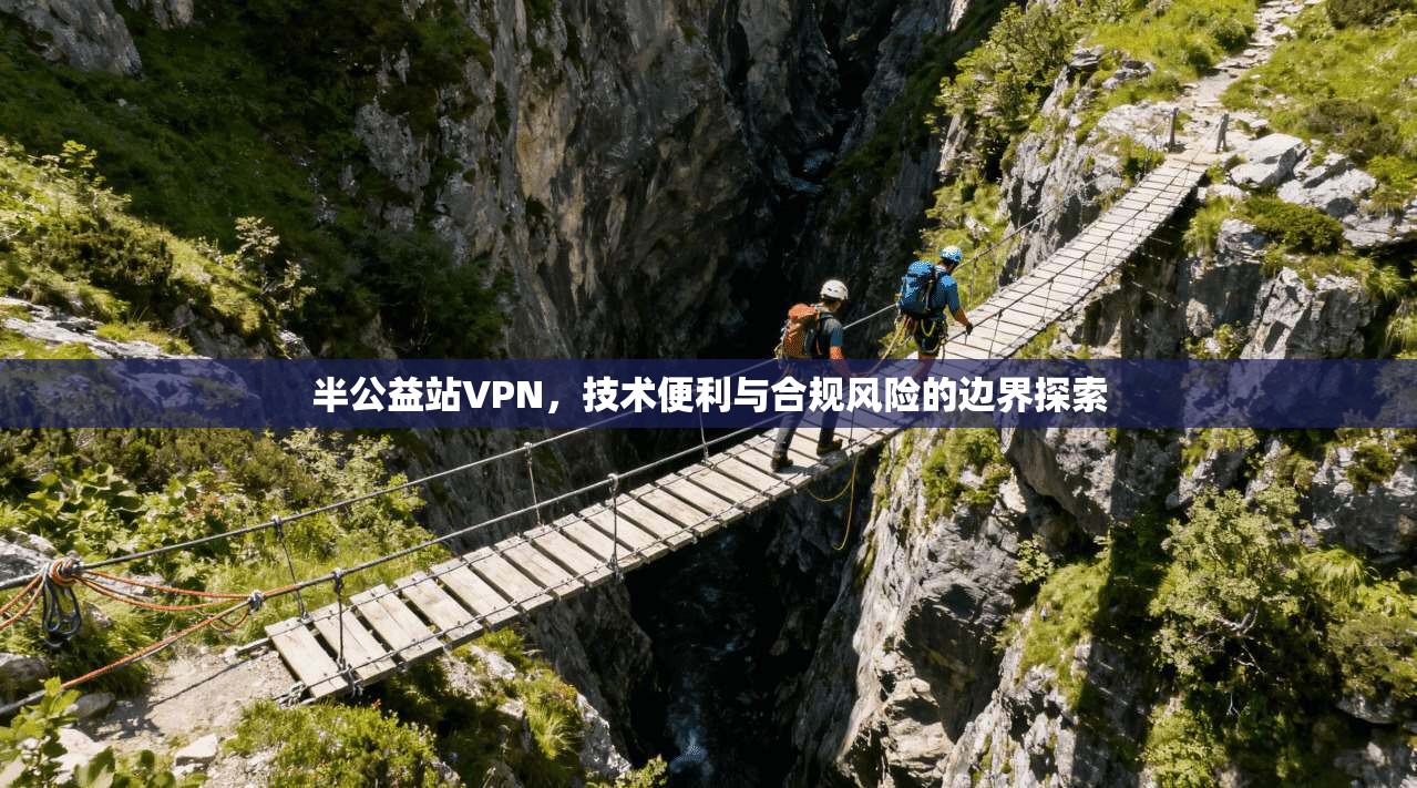 半公益站VPN，技术便利与合规风险的边界探索