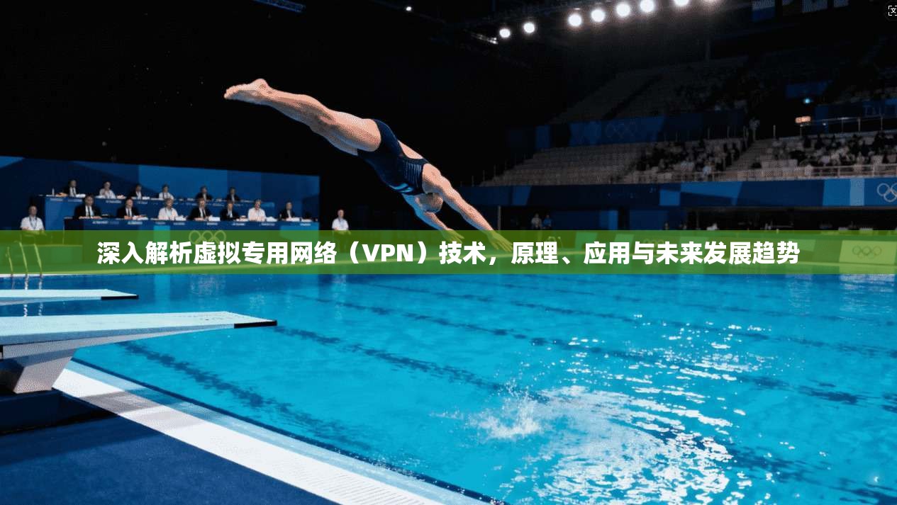 深入解析虚拟专用网络（VPN）技术，原理、应用与未来发展趋势