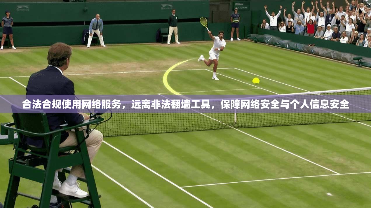 合法合规使用网络服务，远离非法翻墙工具，保障网络安全与个人信息安全