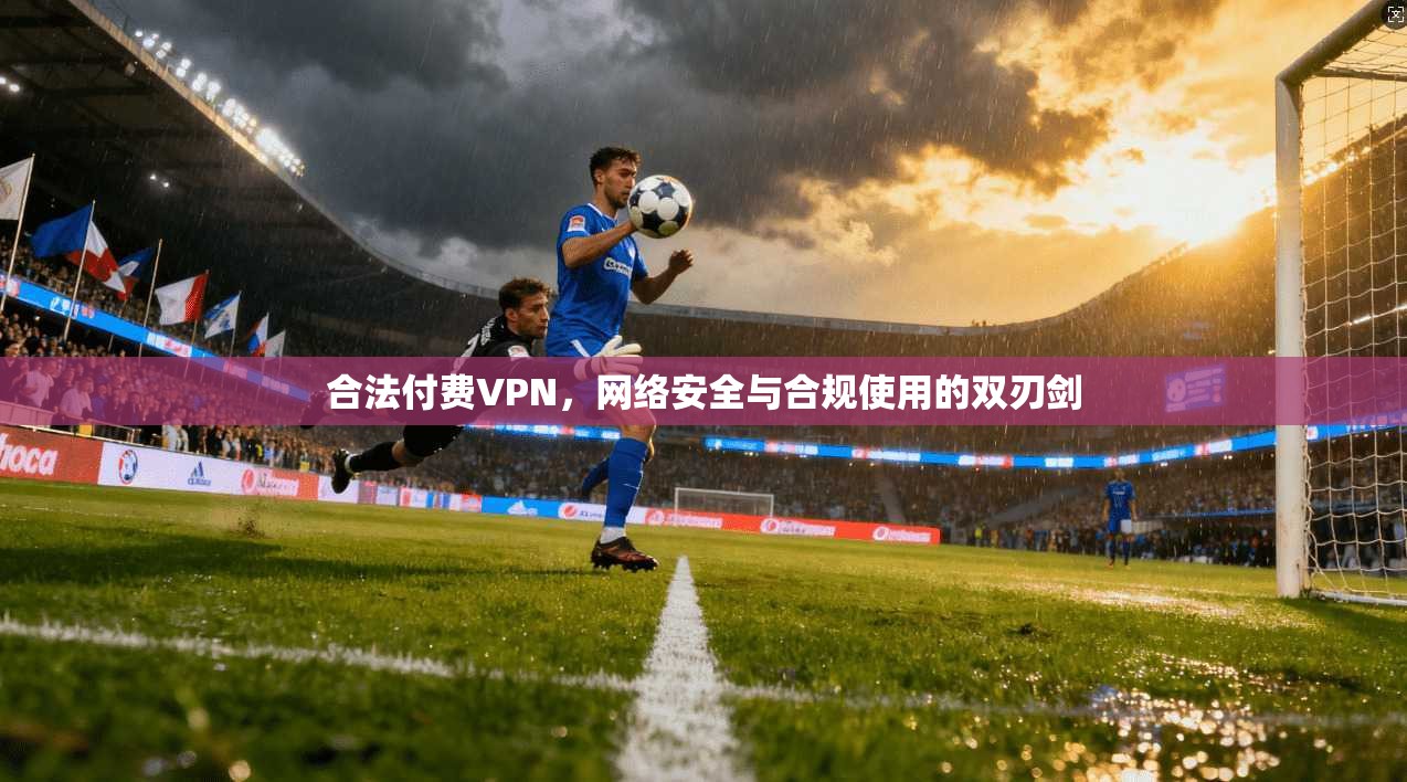 合法付费VPN，网络安全与合规使用的双刃剑