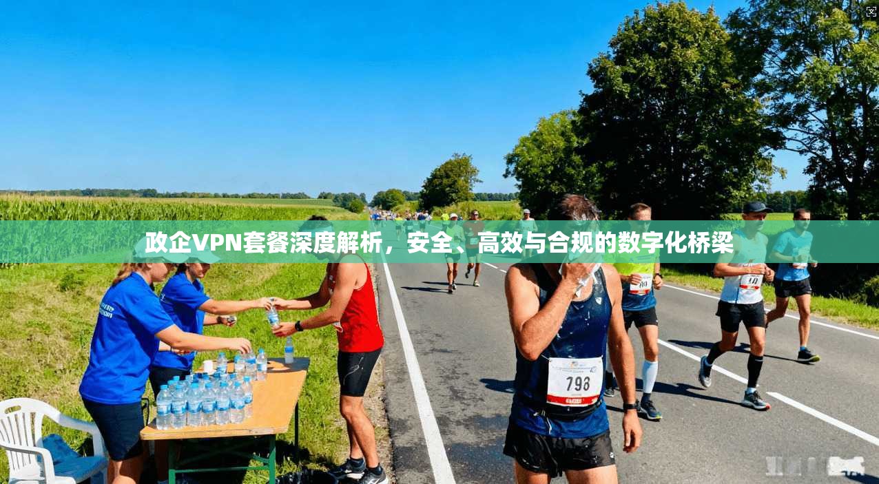 政企VPN套餐深度解析，安全、高效与合规的数字化桥梁